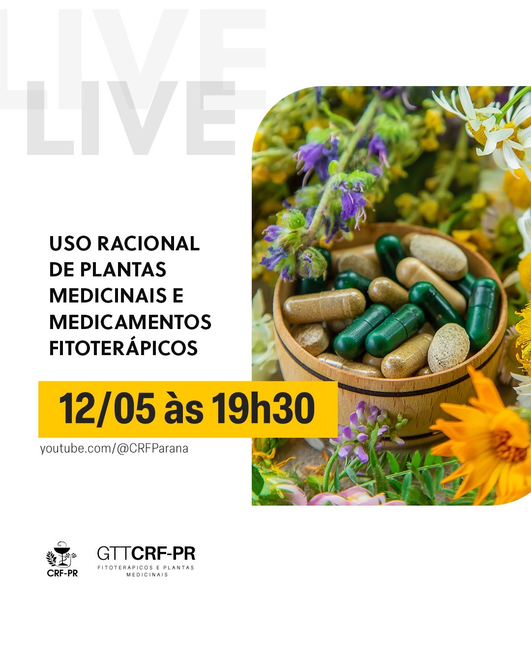 Live: Uso Racional de Plantas Medicinais e Medicamentos Fitoterápicos